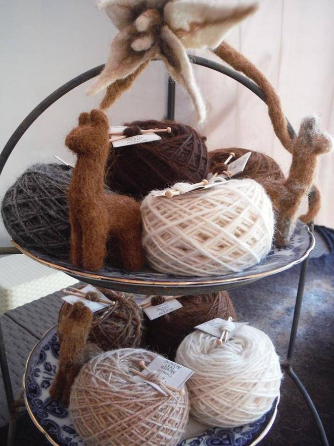 Monte Frio Alpacas Βίλα Nariz Εξωτερικό φωτογραφία