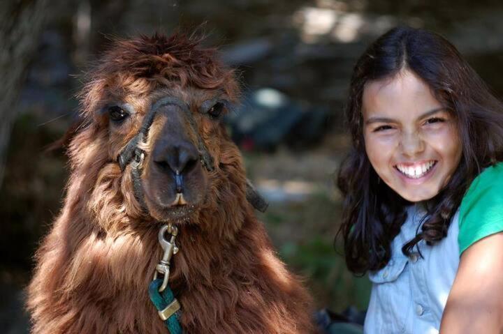 Monte Frio Alpacas Βίλα Nariz Εξωτερικό φωτογραφία