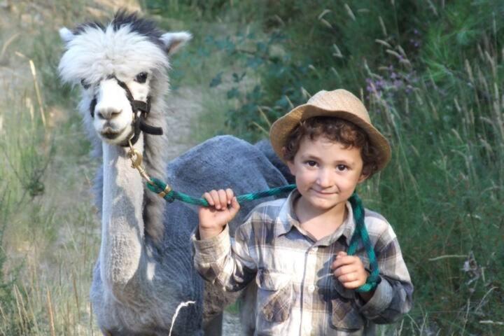 Monte Frio Alpacas Βίλα Nariz Εξωτερικό φωτογραφία
