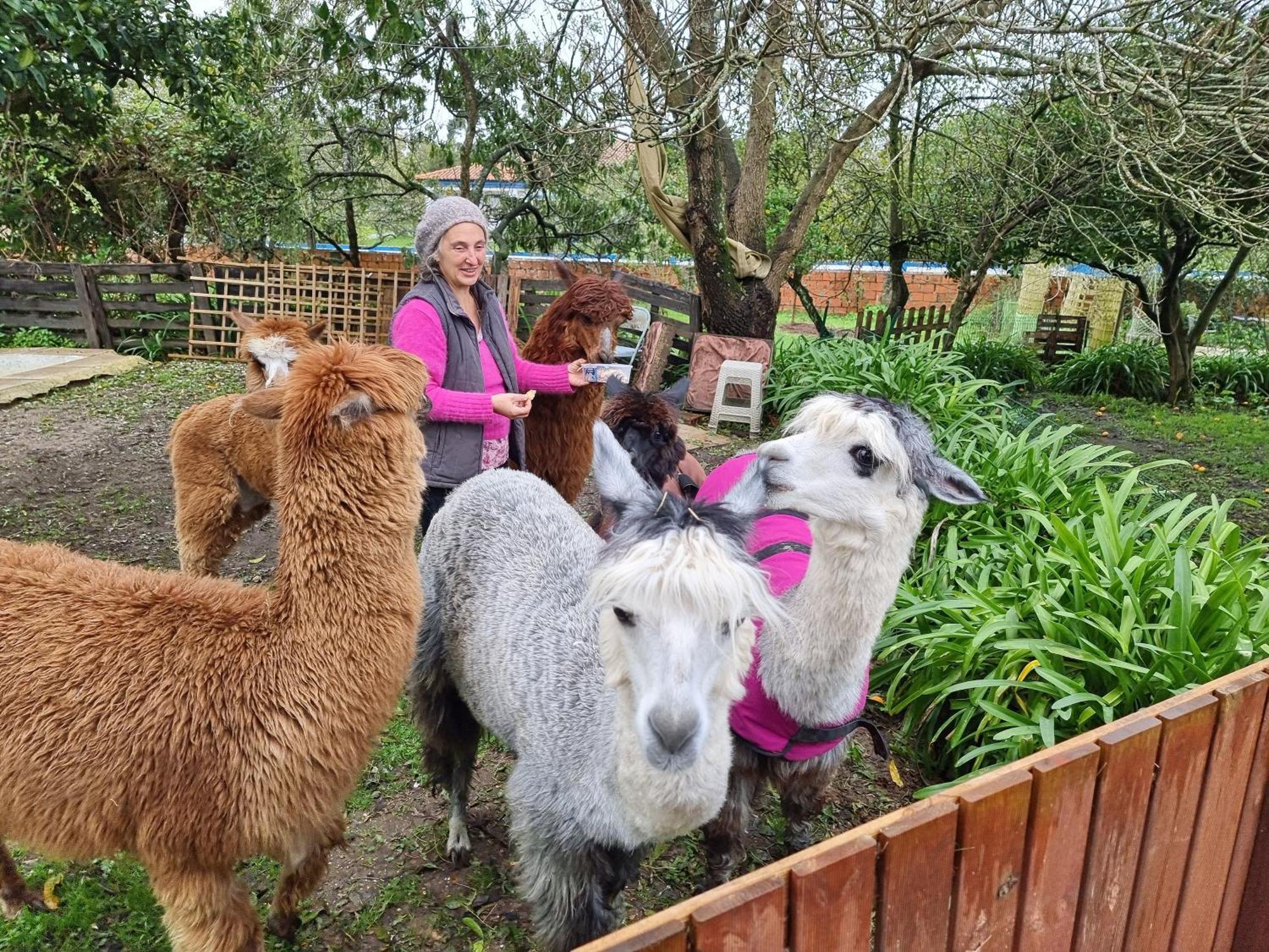 Monte Frio Alpacas Βίλα Nariz Εξωτερικό φωτογραφία